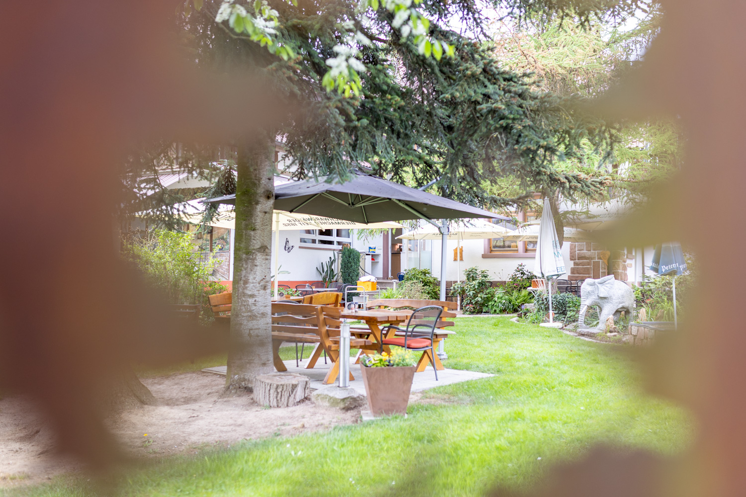 20260418_Gasthaus_Traube_Gastraum_Biergarten_011