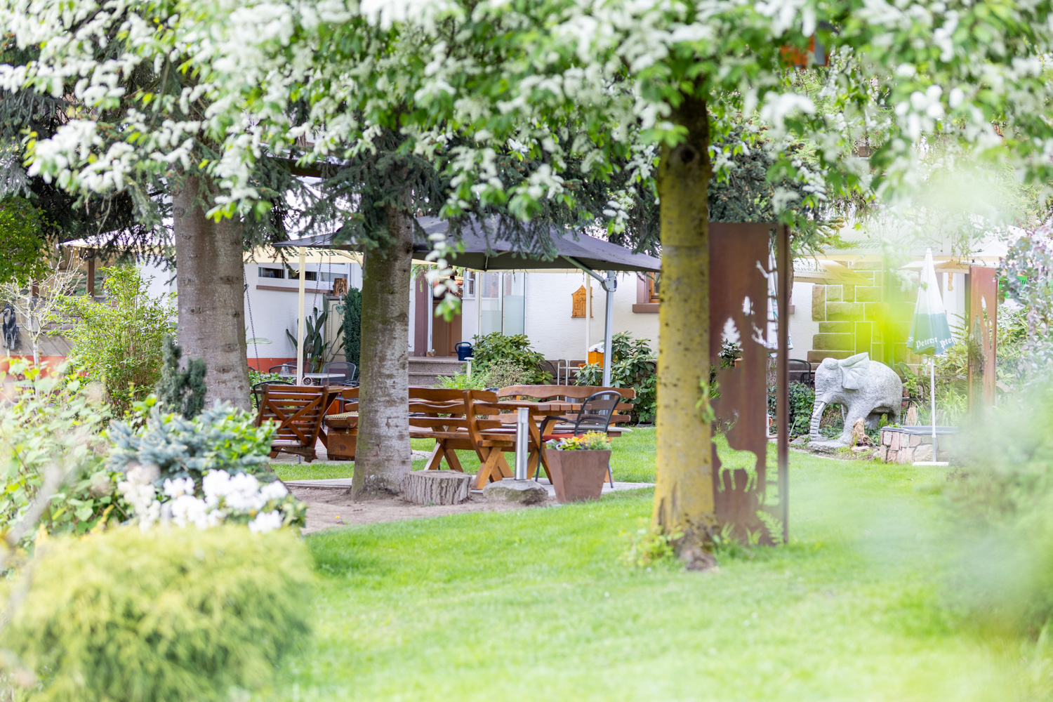 20260418_Gasthaus_Traube_Gastraum_Biergarten_012